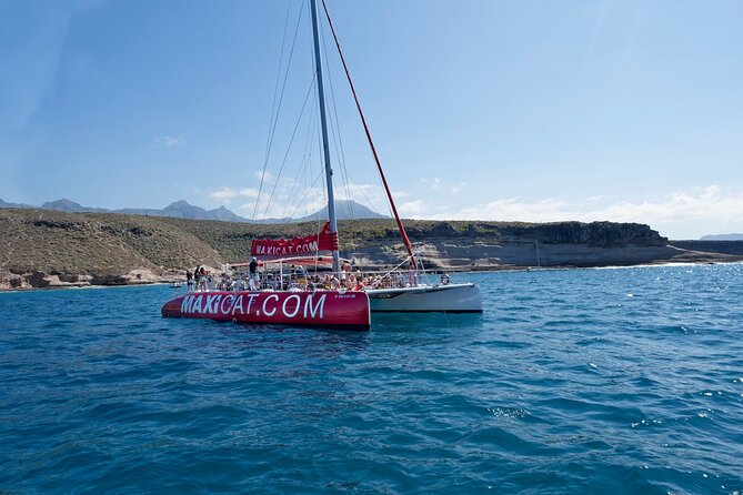 Tour with Whale and Dolphin Watching plus food included - Searching for Bottlenose Dolphins and Pilot Whales