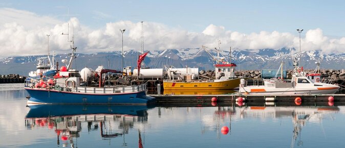 Traditional Oak Ship Whale Watching Tour From Husavik - Key points to know before booking