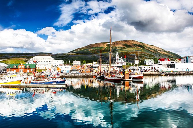 Traditional Oak Ship Whale Watching Tour From Husavik - Warm clothing, cold water, and what to bring