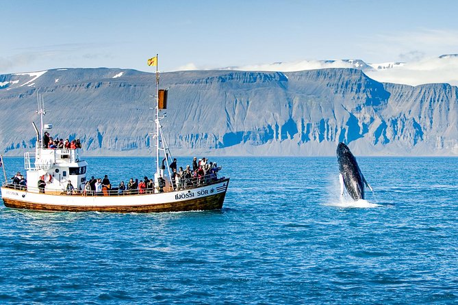 Traditional Oak Ship Whale Watching Tour From Husavik - The small comforts on the ride home
