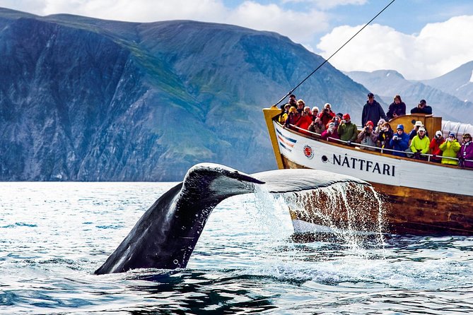 Traditional Oak Ship Whale Watching Tour From Husavik - Searching Skjálfandi Bay for whales