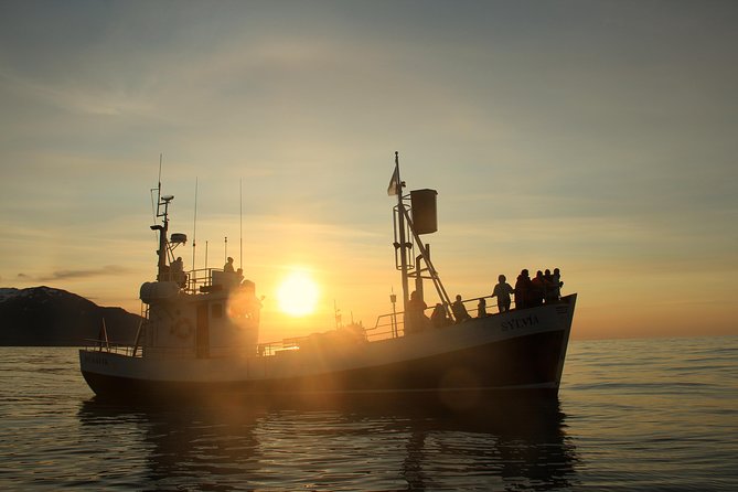 Traditional Whale Watching from Húsavík by Local Family Company - Three hours sounds simple, but timing matters