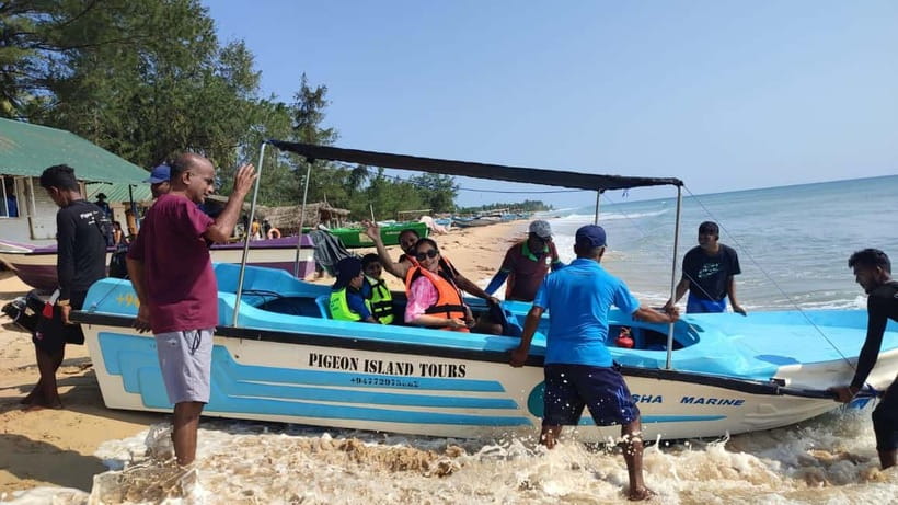 Trincomalee: Dolphin & Whale Watching Boat Tour - The real environmental concern