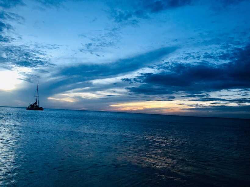 Trincomalee : Whale & dolphin watching +pigeon island tour - Guide communication and the style of the day