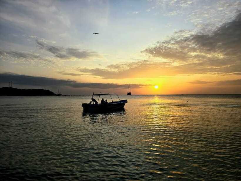 Trincomalee : Whale & dolphin watching +pigeon island tour - Who should book this Trincomalee outing