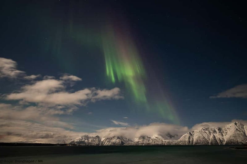 Tromsø: 24hr Northern Lights & Whale Watching Cruise - Boarding at Prostneset at 19:00