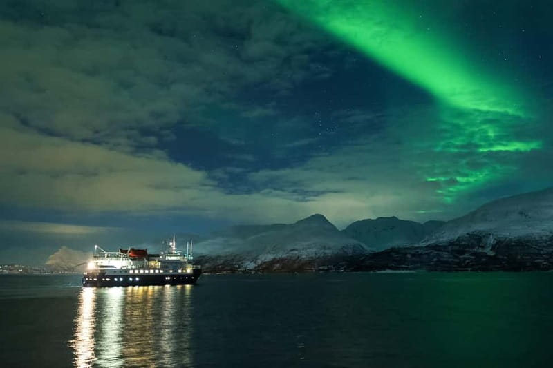 Tromsø: 24hr Northern Lights & Whale Watching Cruise - Northern Lights chances after dark