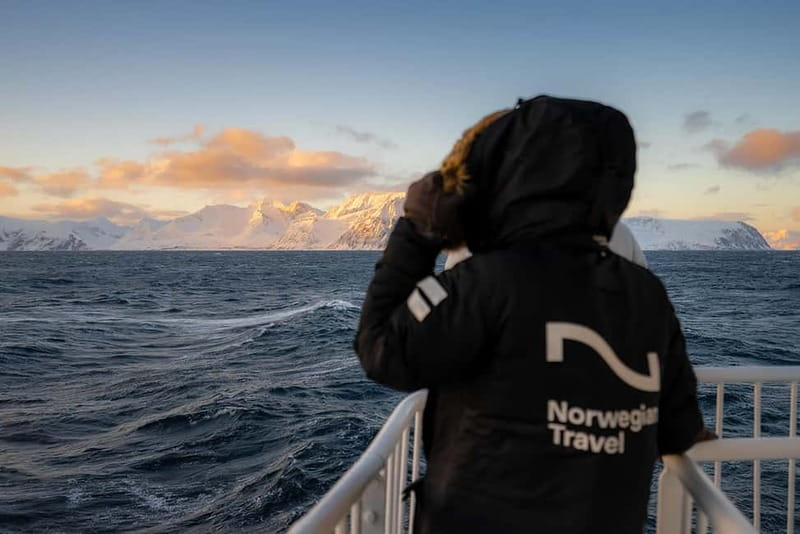 Tromsø: 24hr Northern Lights & Whale Watching Cruise - Cabin comfort and shipboard practicalities