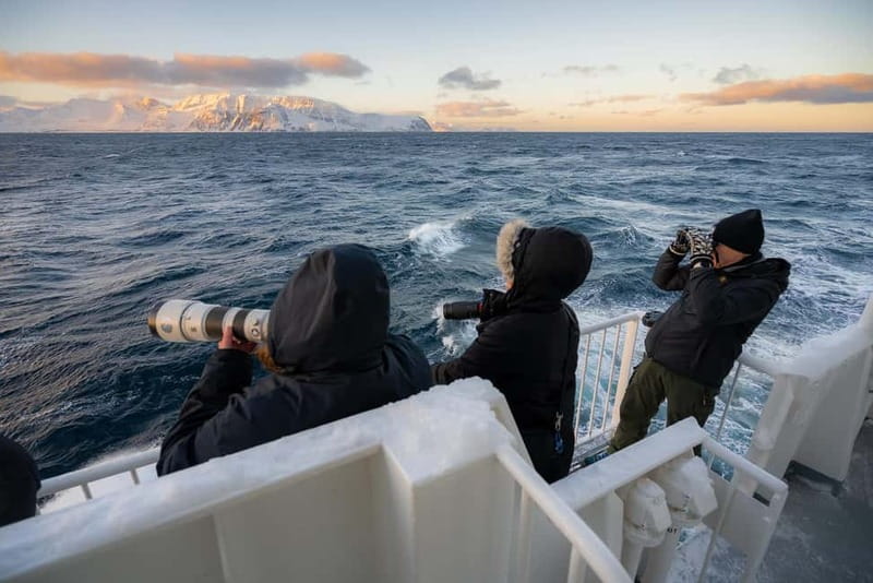 Tromsø: 24hr Northern Lights & Whale Watching Cruise - Dinner while sailing through Grøtsundet