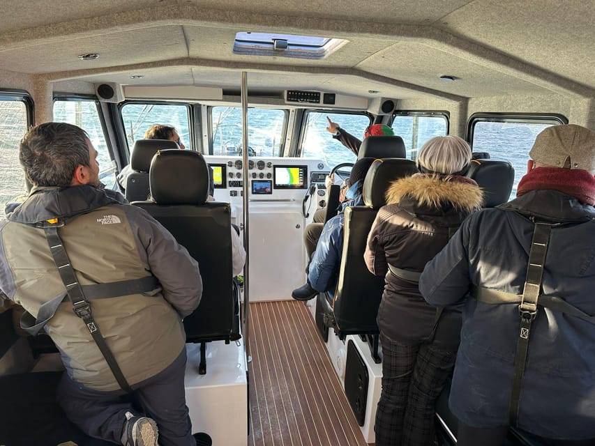 Tromsø: Orca and Whale Watching comfort heated boat Trip - The 8:00-hour road journey from Tromsø to Skjervøy