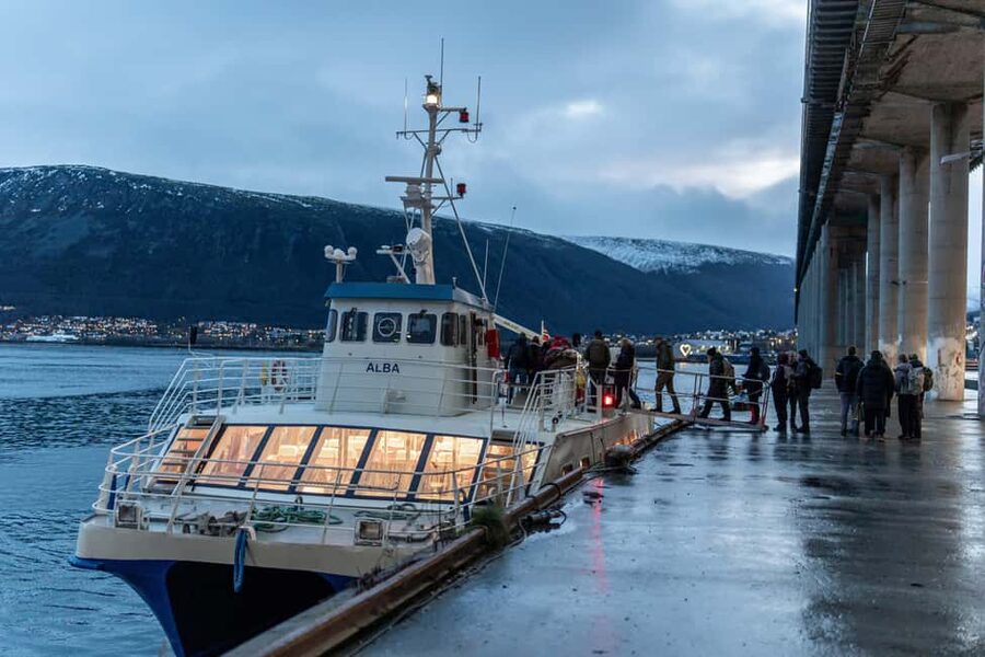 Tromsø: Responsible Whale Watching Cruise Aboard MS Alba - Key points to know before booking