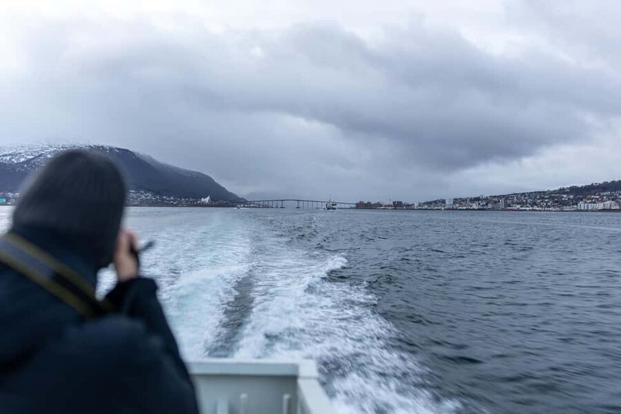 Tromsø: Responsible Whale Watching Cruise Aboard MS Alba - Finding a good view on MS Alba
