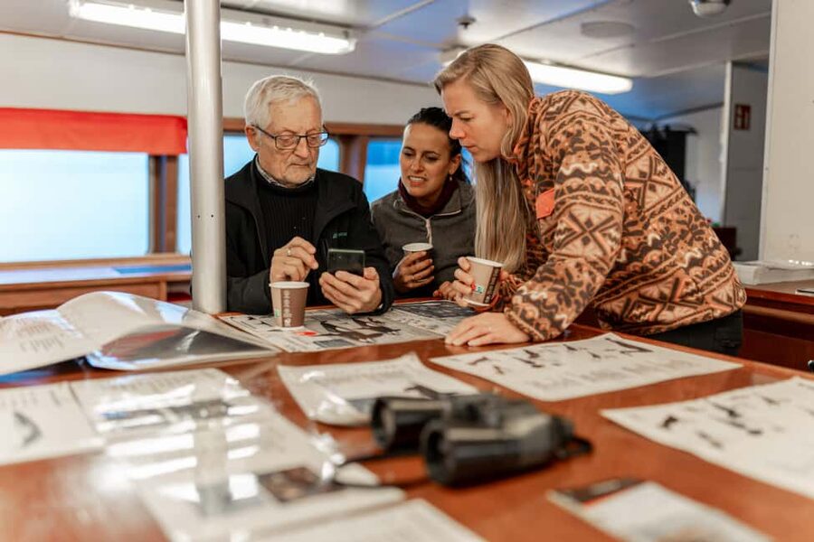 Tromsø: Responsible Whale Watching Cruise Aboard MS Alba - The Arctic setting beyond the whales