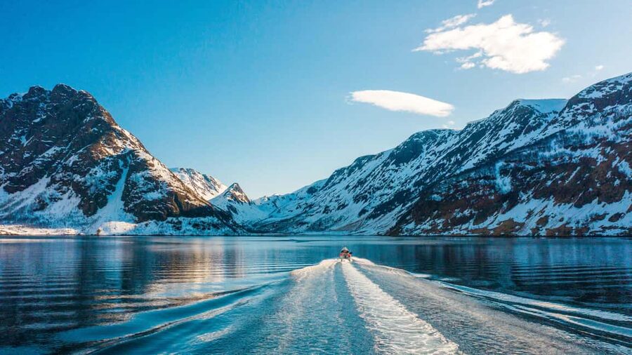 Tromsø Whale Safari with MS Keiser Wilhelm - Key points at a glance