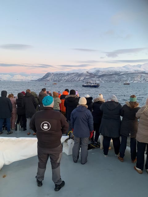 Tromsø Whale Safari with MS Keiser Wilhelm - Who should book this whale safari?
