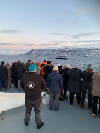 Tromsø Whale Safari with MS Keiser Wilhelm