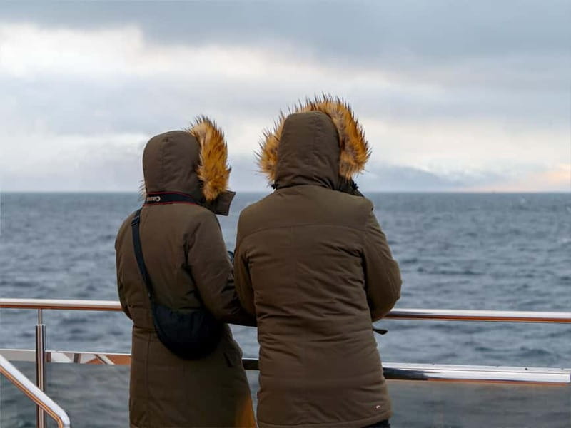Tromsø: Whale Watching on hybrid boat with scenic bustrip - Key points to know before booking