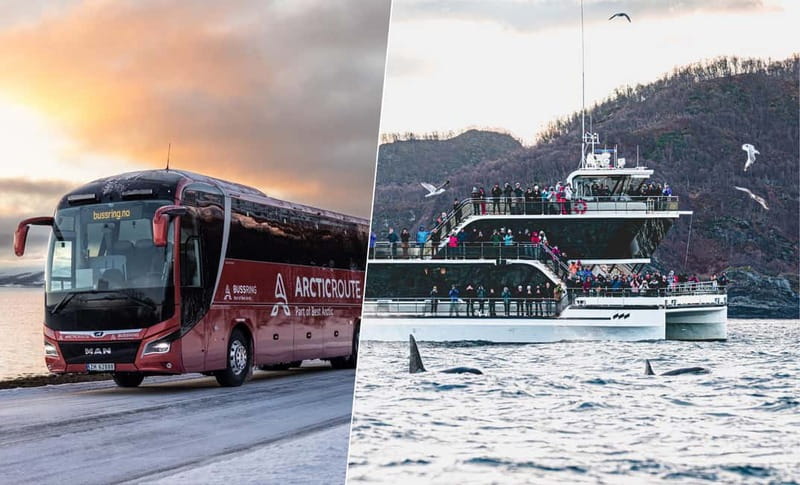 Tromsø: Whale Watching on hybrid boat with scenic bustrip - Why the hybrid boat matters at Skjervøy