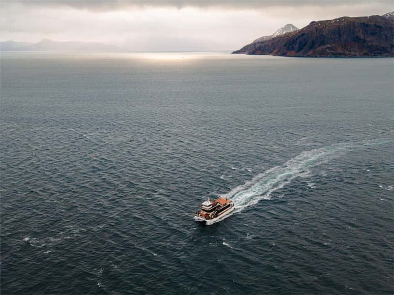 Tromsø: Whale Watching on hybrid boat with scenic bustrip - A nine-hour day in Arctic conditions