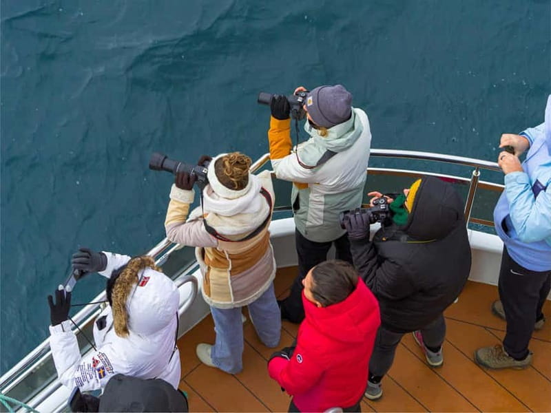 Tromsø: Whale Watching on hybrid boat with scenic bustrip - The morning departure from Tromsø