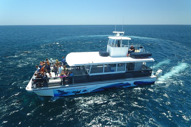 Two-Hour Luxury Whale Watching Tour from Oceanside - What the 50-foot catamaran feels like underway