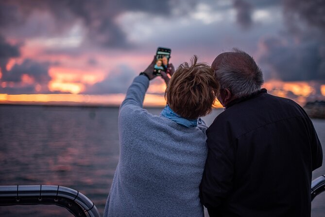 Two-Hour Luxury Whale Watching Tour from Oceanside - Whale species and the limits of luck