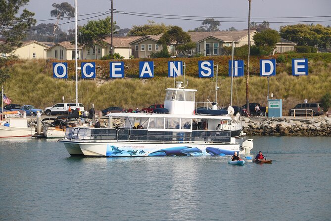 Two-Hour Luxury Whale Watching Tour from Oceanside - Weather, seas, and motion sickness
