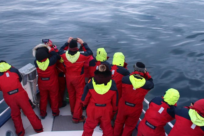 Two-In-One: Whale & Puffin Watching Tours from Reykjavik - Is the $140 price fair?