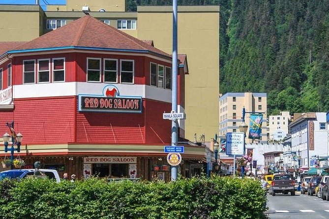 Ultimate Juneau Whale Watch and Mendenhall Glacier View - Timing and cruise-ship planning