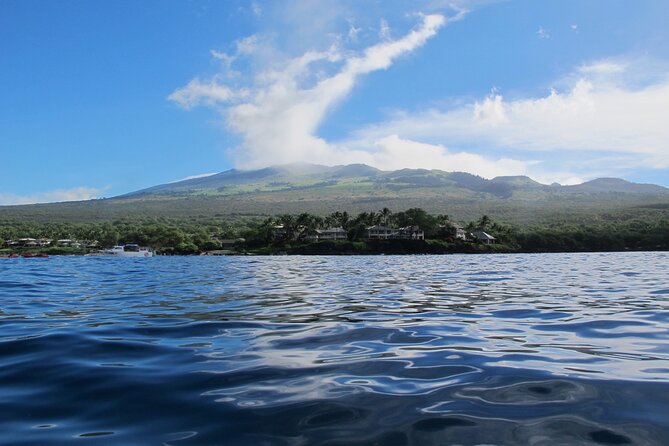 Ultimate Maui Whale Watch Snorkel Tour - Why the extra hour matters