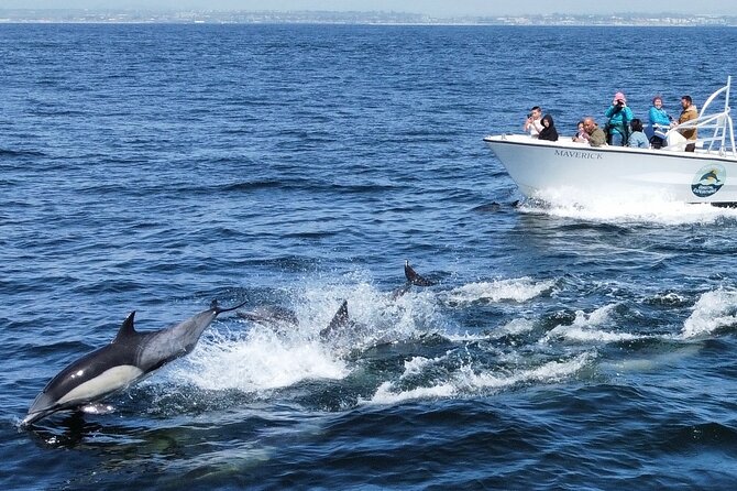 Up Close Dolphin & Whale Watching - Who will enjoy this trip most