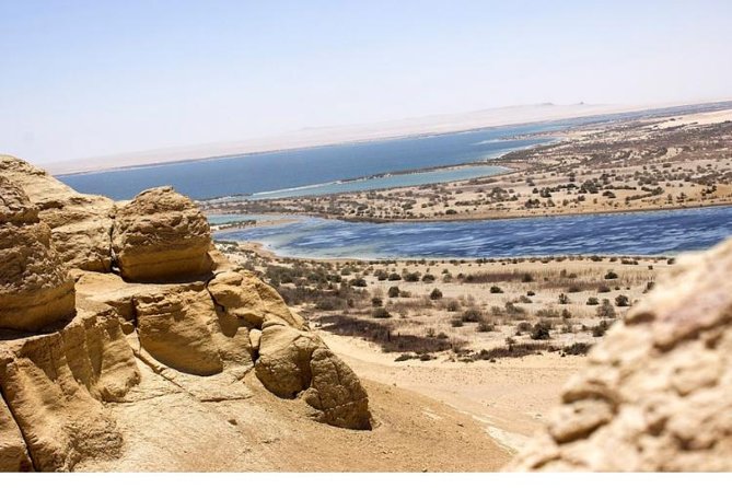 Valley of whale's & Al Fayoum by jeep 4<em>4 – private Desert full Day Trek – Cairo – Why Whale Valley is worth the long road from Cairo’ /></p>
<p><p>This is not a quick photo stop beside a famous monument. Wadi Al-Hitan, usually called Whale Valley, is a proper desert site with marked walking trails, exposed fossils, a small museum, a café, and clean restrooms.</p>
</p>
<p><p>The fossils tell an unusual story. These ancient whales still show the final stages of losing their hind limbs as they changed from land-based animals into ocean-going mammals. You can see complete or nearly complete skeletons resting in the sandy ground, rather than only a few bones behind glass.</p>
</p>
<p><p>I find the setting almost as interesting as the fossils. Strange rock forms rise from broad stretches of sand, giving the valley an otherworldly look without any need for theatrical decoration. The site feels quiet and open, which helps you understand how much the Fayoum area has changed over geological time.</p>
</p>
<p><p>Plan on about two hours here. That is enough to visit the small museum and walk several trails, but not enough to inspect every fossil at a leisurely pace. Wear shoes suitable for uneven desert paths and bring the supplied bottled water, especially if the day is hot.</p>
</p>
<div class="twil" style="margin: 20px 0; padding: 15px 0;"><p>More Full-Day Whale Trips in Cairo:</p><ul style="margin: 10px 0; padding-left: 0; list-style: none;"><li style="margin: 0 0 12px 0; padding: 0 0 12px 0; border-bottom: 1px solid #DFE8ED; line-height: 1.4;"><a href="https://thewhaletraveler.com/valley-of-whales-and-wadi-el-rayan-water-falls-day-tour-from-cairo/">Valley of Whales and Wadi El Rayan Water Falls Day Tour from Cairo</a><br><span style="font-size: 0.82em; color: #555;"><span style="color: #1C5C7D;">★</span> 4.5 &nbsp;&middot;&nbsp; 76 reviews</span></li><li style="margin: 0 0 12px 0; padding: 0 0 12px 0; border-bottom: 1px solid #DFE8ED; line-height: 1.4;"><a href="https://thewhaletraveler.com/private-day-tour-to-el-fayoum-valley-of-the-whales-from-cairo/">Private Day Tour to El Fayoum & Valley of the Whales from Cairo</a><br><span style="font-size: 0.82em; color: #555;"><span style="color: #1C5C7D;">★</span> 5.0 &nbsp;&middot;&nbsp; 13 reviews</span></li><li style="margin: 0; padding: 0; border-bottom: none; line-height: 1.4;"><a href="https://thewhaletraveler.com/day-trip-to-valley-of-whales-from-cairo-wadi-el-hitan/">Day Trip to Valley of Whales from Cairo – Wadi El Hitan</a><br><span style="font-size: 0.82em; color: #555;"><span style="color: #1C5C7D;">★</span> 5.0 &nbsp;&middot;&nbsp; 6 reviews</span></li></ul></div><h2>Leaving Cairo for Fayoum at 8:00 am</h2>
<p><img width="669" height="446" decoding="async" src=
