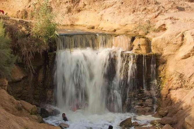 Valley of Whales and Wadi El Rayan Water Falls Day Tour from Cairo - Lake Qarun adds water to the desert