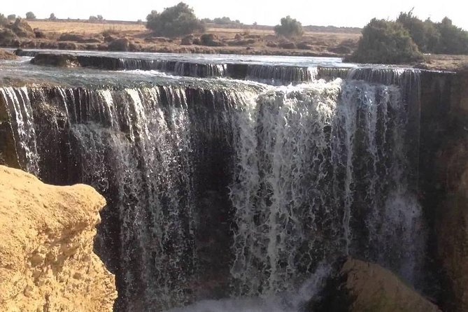 Valley of Whales and Wadi El Rayan Water Falls Day Tour from Cairo - The 4x4 ride is more than a transfer