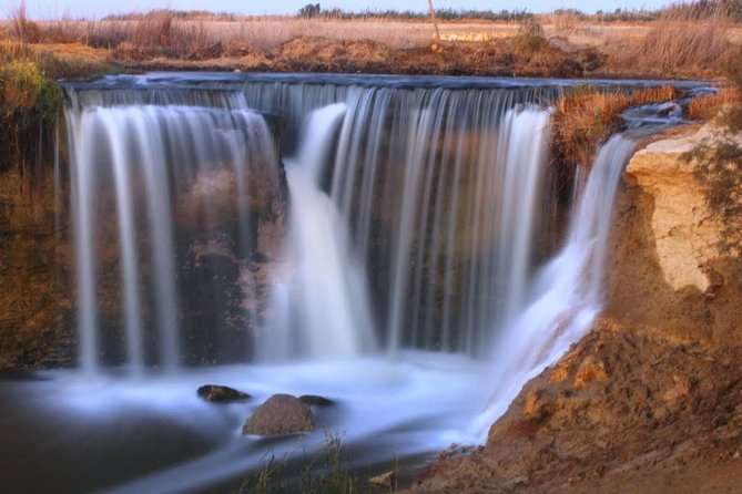 Valley of Whales and Wadi El Rayan Water Falls Day Tour from Cairo - Lunch is welcome, but the timing can be late