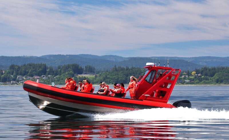 Vancouver, BC: Whale Watching Tour Small Zodiac with Guide - Key points to know before booking