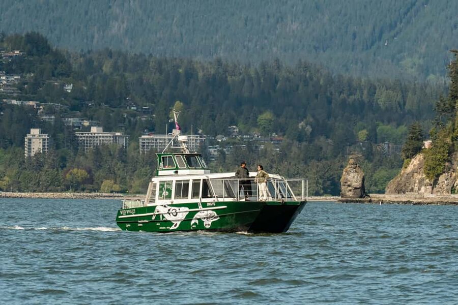 Vancouver: Catamaran Whale Watching Tour, Granville Island - Why Jing Yu suits families and mixed-age groups