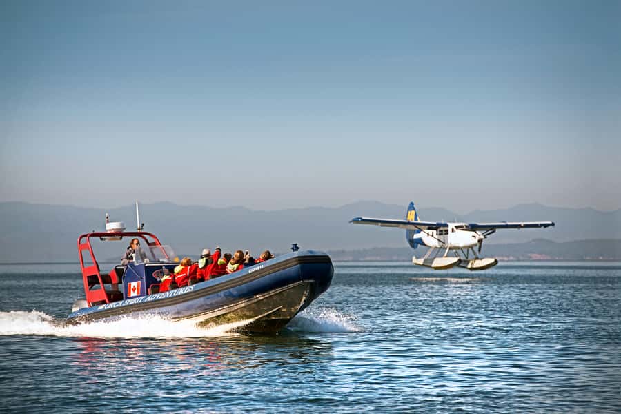 Vancouver: Day Trip to Victoria Seaplane with Whale Watching - Meeting Orca Spirit Adventures in Victoria