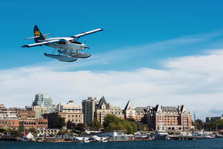 Vancouver: Day Trip to Victoria Seaplane with Whale Watching - What You Might See in Southern Vancouver Island Waters