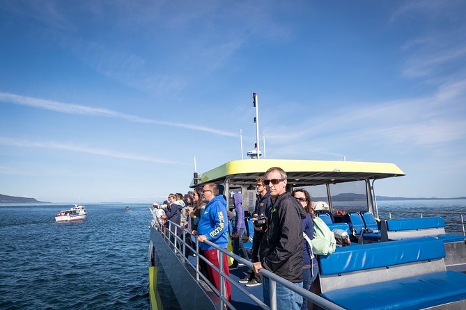 Vancouver Half-Day Whale Watching Adventure with Free Photos - Choosing between the cabin and the open decks