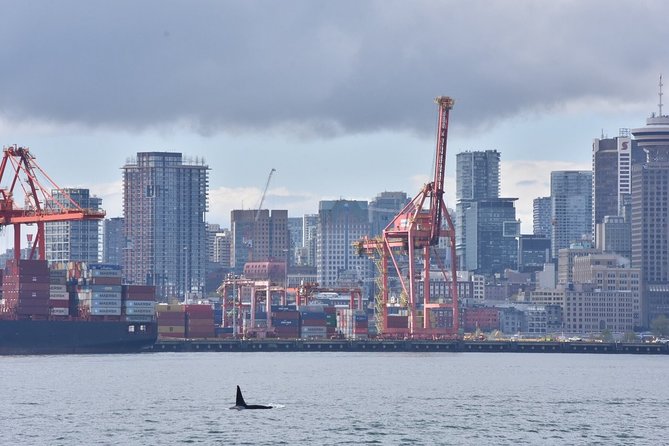 Vancouver Half-Day Whale Watching Adventure with Free Photos - Who will enjoy this Vancouver whale tour