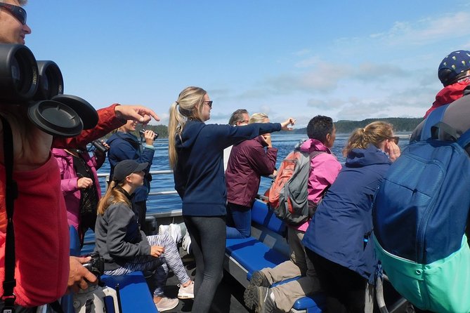 Vancouver Island Half-Day Whale Watching Tour - Telegraph Cove - The included photo package is a real bonus