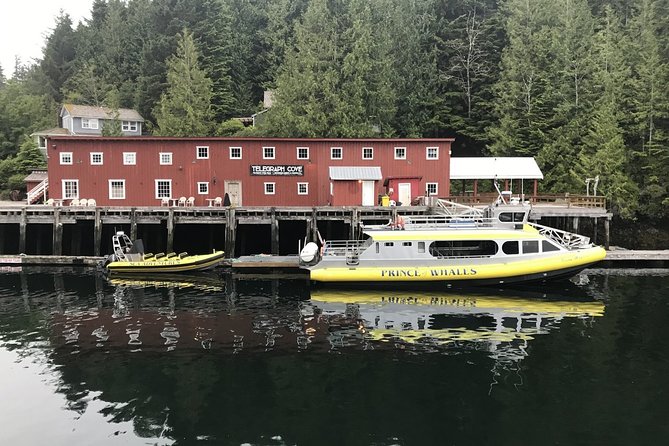 Vancouver Island Half-Day Whale Watching Tour - Telegraph Cove - Who will enjoy this most