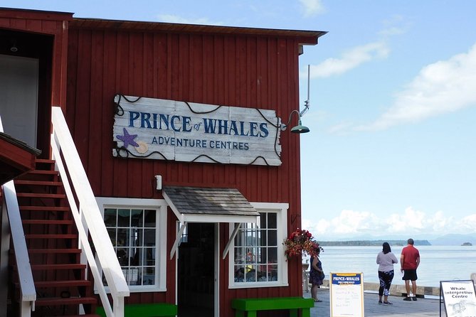 Vancouver Island Half-Day Whale Watching Tour - Telegraph Cove - My practical packing list