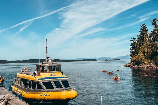 Vancouver Island Half-Day Whale Watching Tour - Telegraph Cove - The crew makes the difference