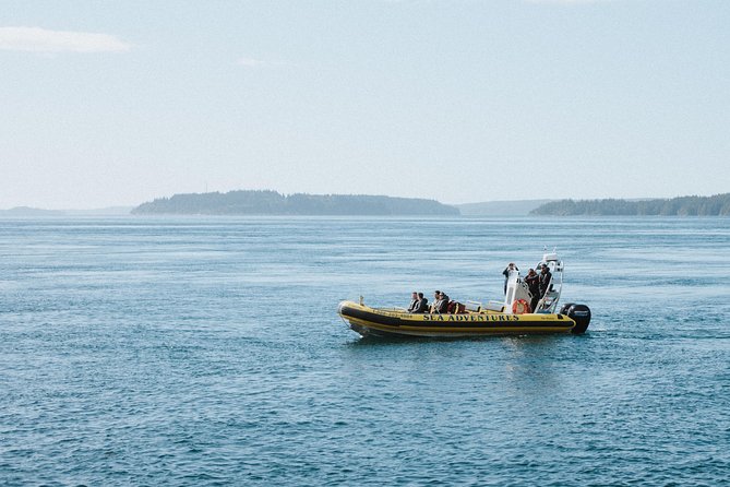 Vancouver Island Zodiac Whale Watching Adventure - Telegraph Cove - What the Zodiac ride feels like