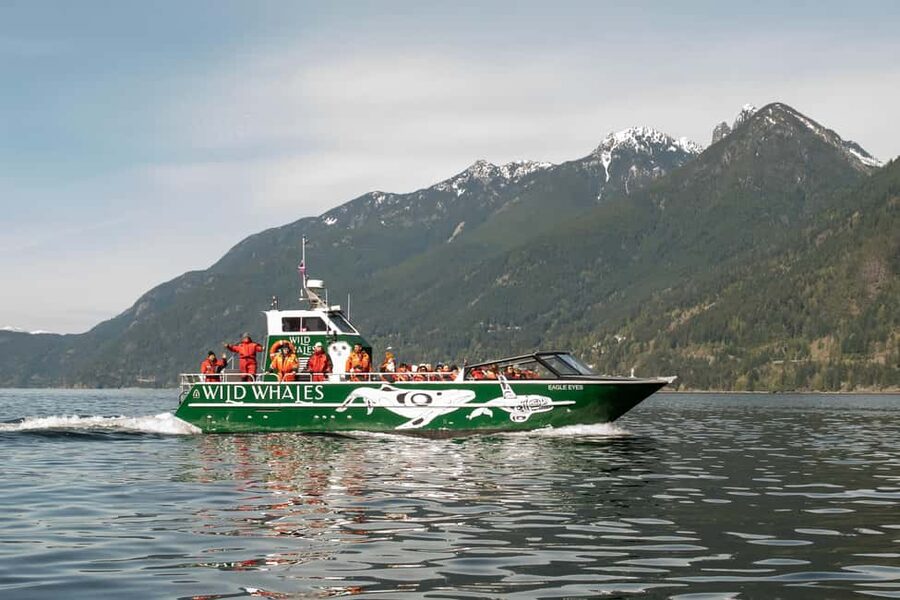 Vancouver: Open-air Whale Watching Tour, Granville Island - Why the open-air Eagle Eyes boat matters