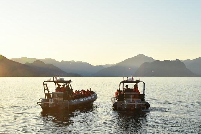 Vancouver's Intimate West Coast Whale Watching Experience - The Vancouver shoreline itinerary