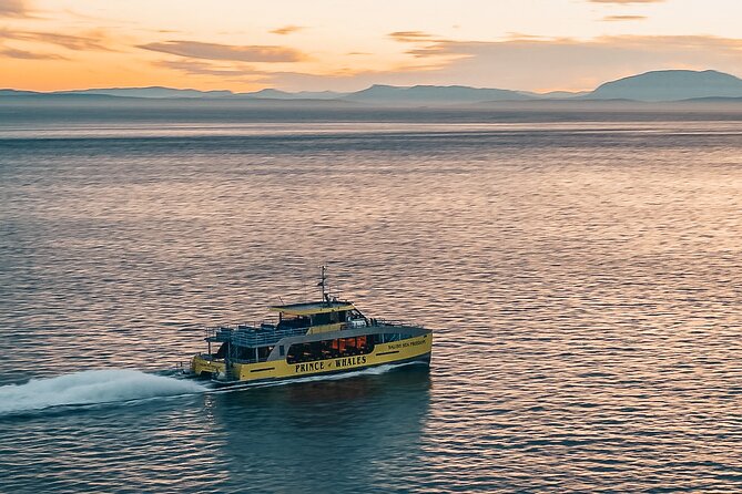 Vancouver Sunset Whale Watching Adventure with Free Photos - The ride out to the whale grounds