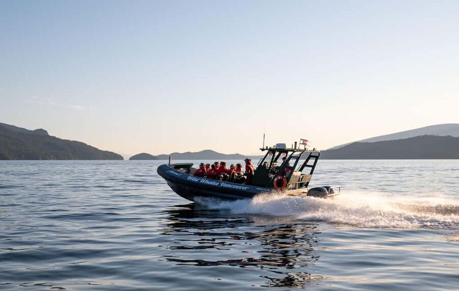 Vancouver: Zodiac Whale Watching Tour from Granville Island - Why this Zodiac feels different from a regular whale-watching boat